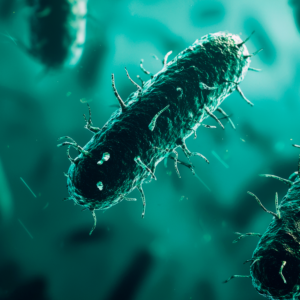 Test de Helicobacter pylori